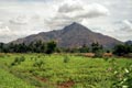 arunachala photograph