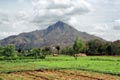 arunachala photograph