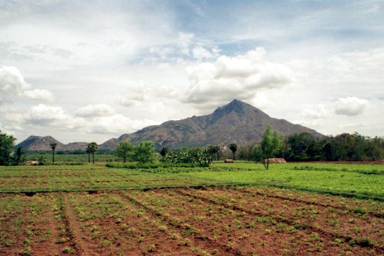 Arunachala photograph 13