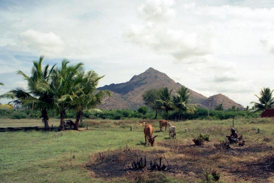 Arunachala photograph 14