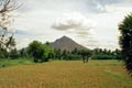 arunachala photograph