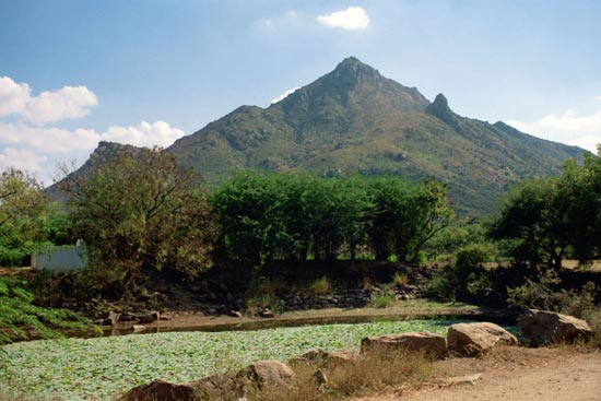 Arunachala photograph 21