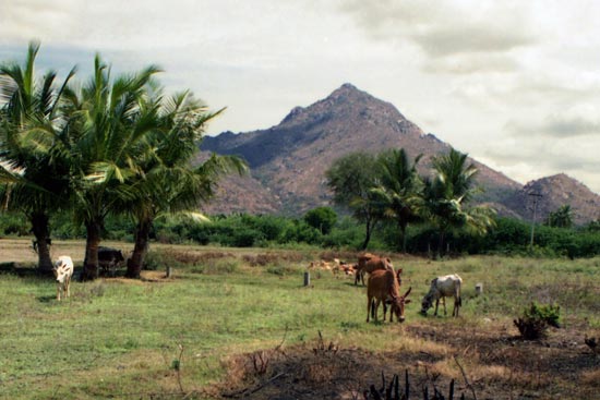 Arunachala photograph 25