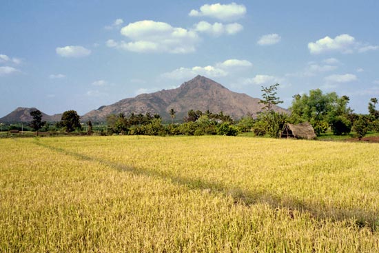 Arunachala photograph 32