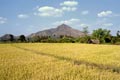 arunachala photograph