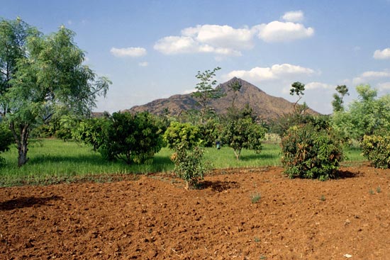 Arunachala photograph 34