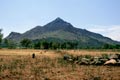 arunachala photograph