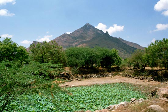 Arunachala photograph 38