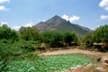 arunachala photograph