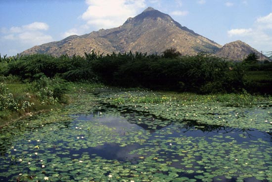 Arunachala photograph 40