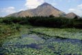 arunachala photograph