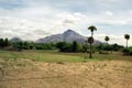 arunachala photograph