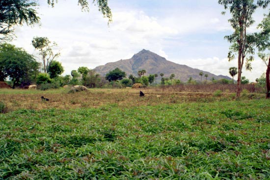 Arunachala photograph 47