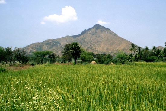 Arunachala photograph 51