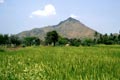 arunachala photograph