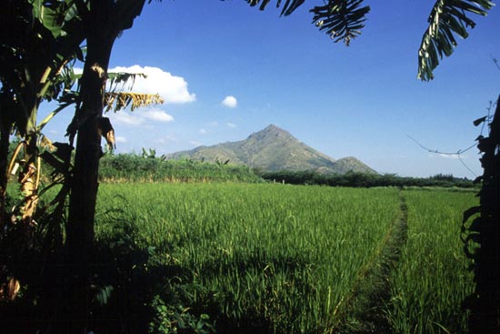 Arunachala photograph 61