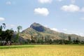 arunachala photograph