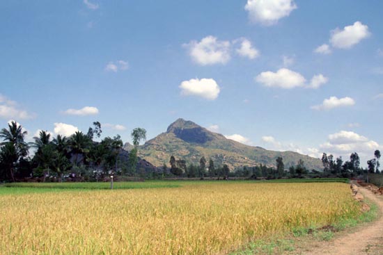 Arunachala photograph 64