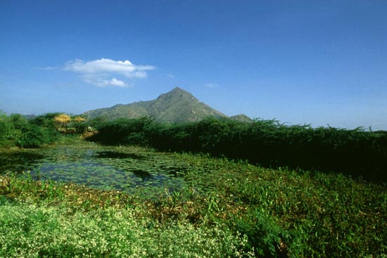 Arunachala photograph 65