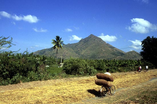 Arunachala photograph 66