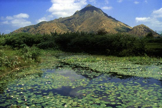 Arunachala photograph 67