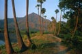 arunachala photograph