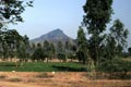 arunachala photograph