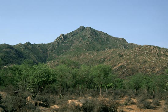 Arunachala photograph 91