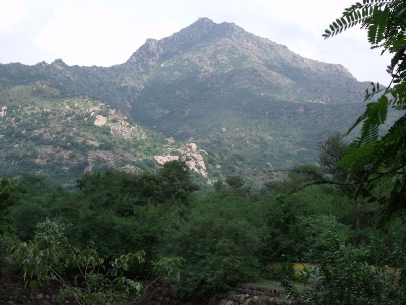 Girivalam-innerpath19
Keywords: Arunachala;Tiruvannamalai;Giripradakshina