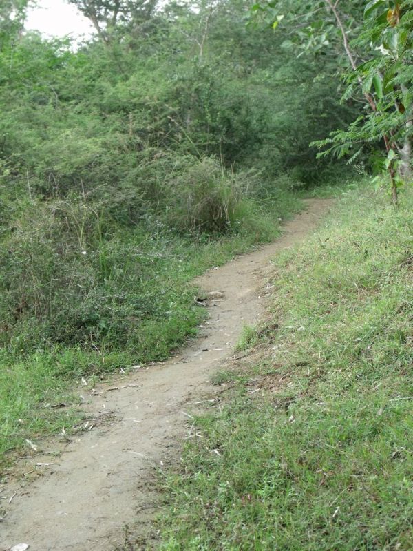 Girivalam-innerpath25
Keywords: Arunachala;Tiruvannamalai;Giripradakshina