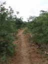 Girivalam-innerpath27