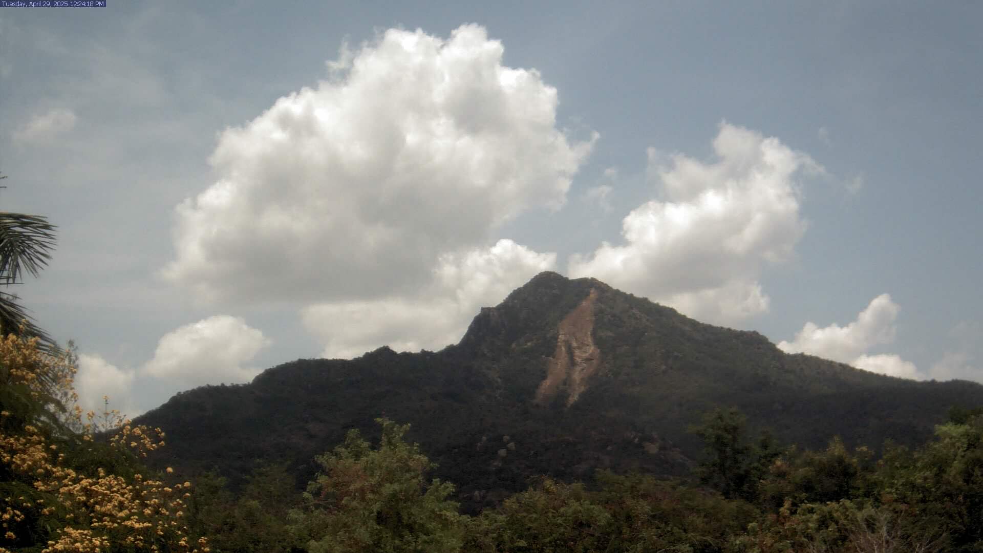 Arunachala live